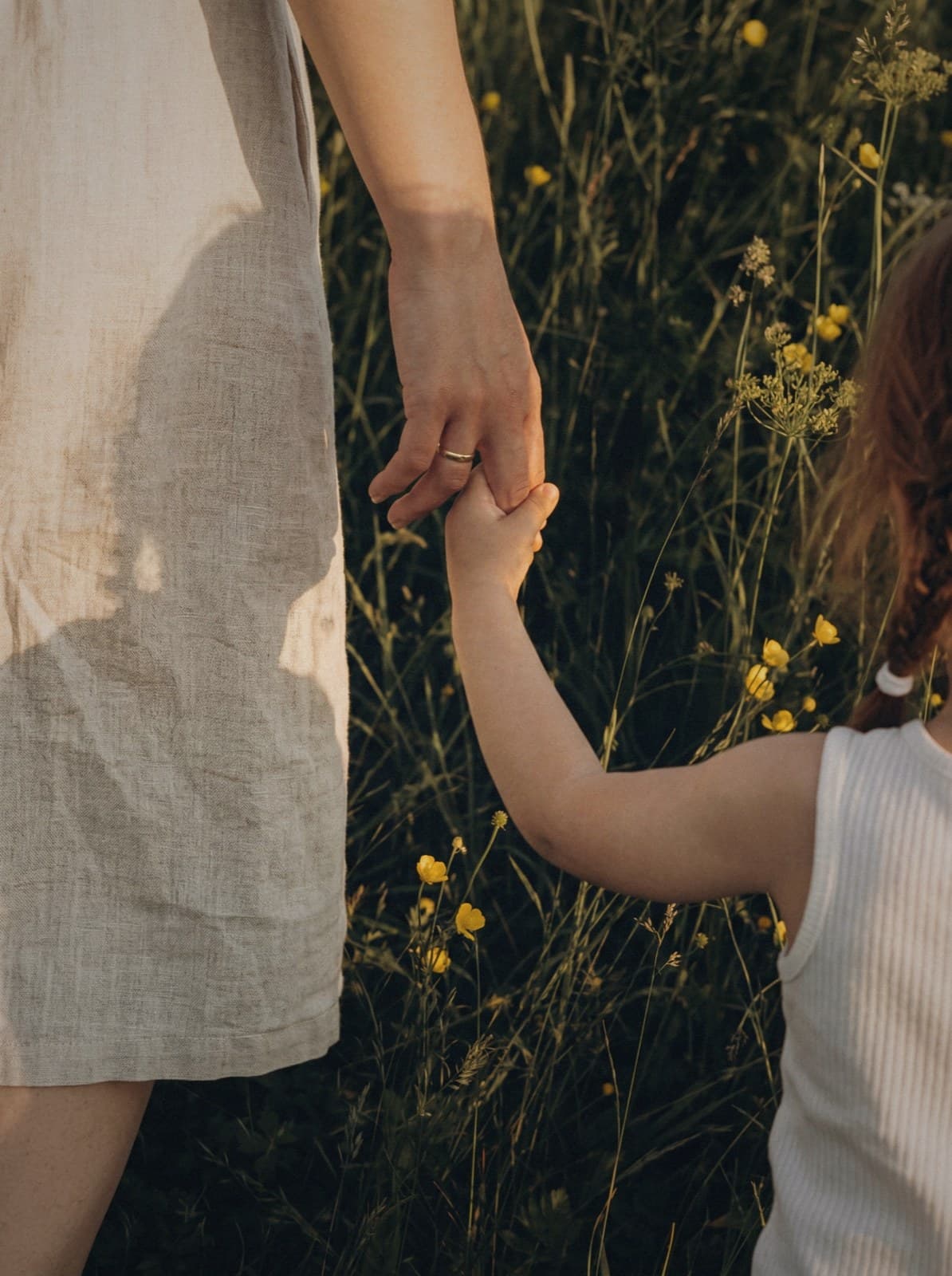 An adult and a child hold hands while walking through a wildflower meadow in late-afternoon light.